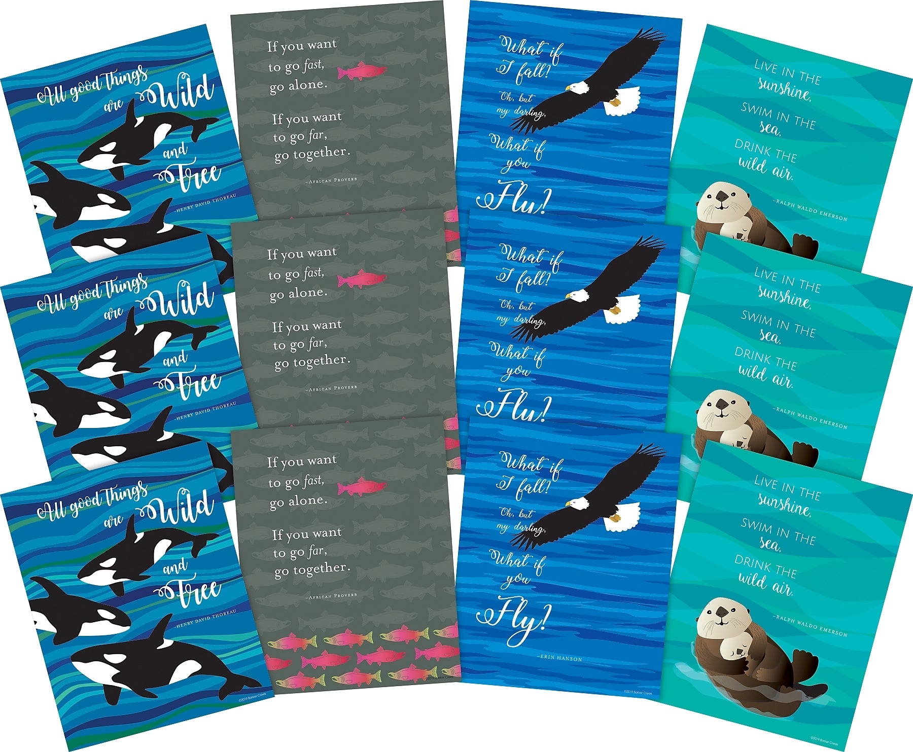 Barker Creek What if You Fly Posters, 12/Set (4197)