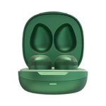 Raycon The Fitness Wireless Noise Canceling Earbuds with Microphone & Charging Case, Bluetooth, Everest Green (RBE745-23E)