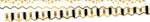 Barker Creek Double-Sided Scalloped Border, 36" x 2.25", Gold Coins, 26/Pack (BC3698)