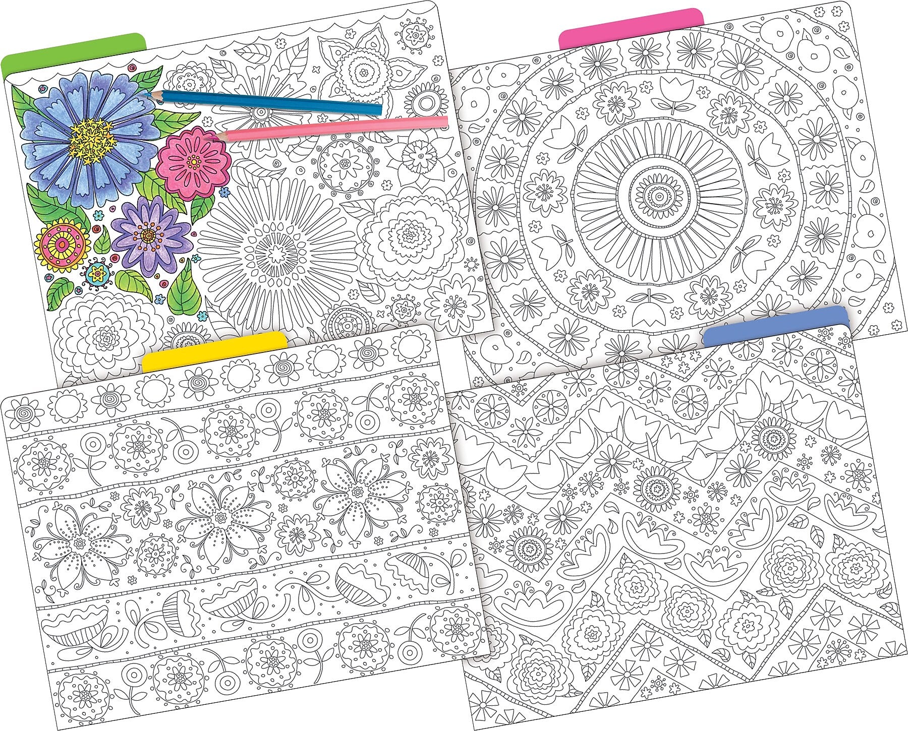 Barker Creek Color Me! In My Garden All Inclusive Décor Set, 171 Pieces/Set (BC3727)
