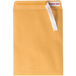JAM Paper Open End Envelopes, Peel & Seal, 9 x 12, Brown Kraft, 250 Pack (75456-250)