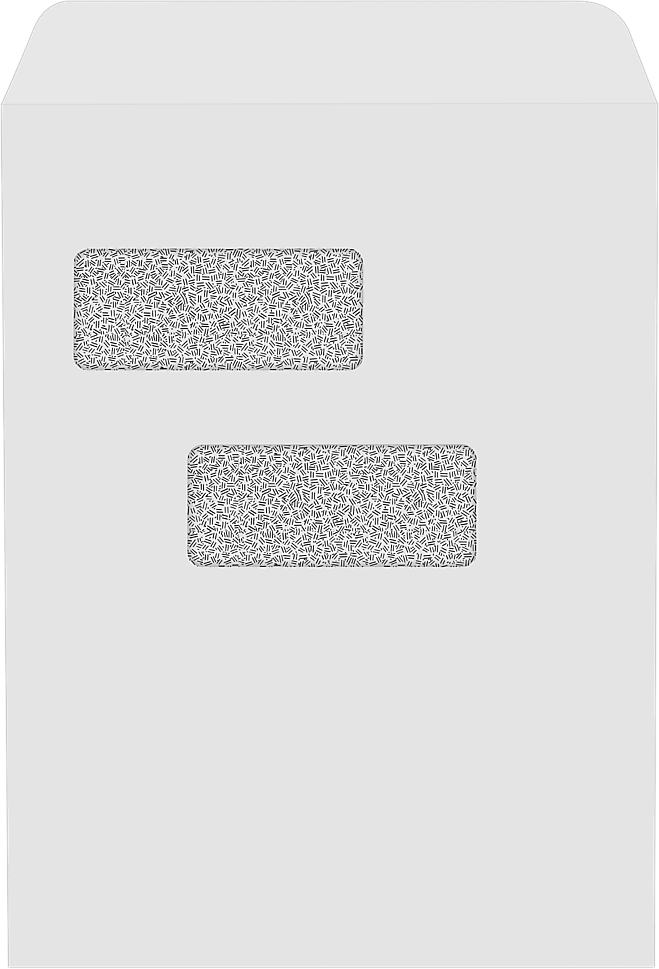JAM Paper 9 x 12 Open End Double Window Envelopes, Security Tint, 28lb, White, 50 Pack (912DW-28WST-50)
