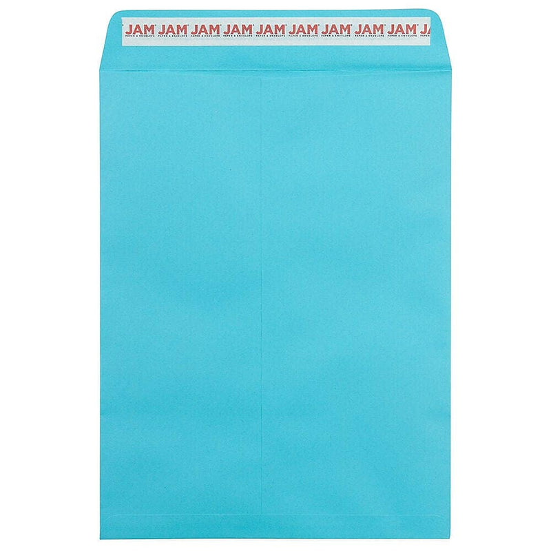 JAM Paper 9 x 12 Open End Envelopes, Pool, 250/Pack (4894-102-250)