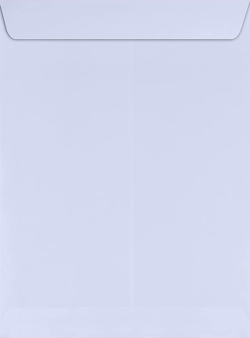 JAM Paper 9 x 12 Open End Envelopes, Lilac Purple, 500/Pack (LUX-4894-05-500)