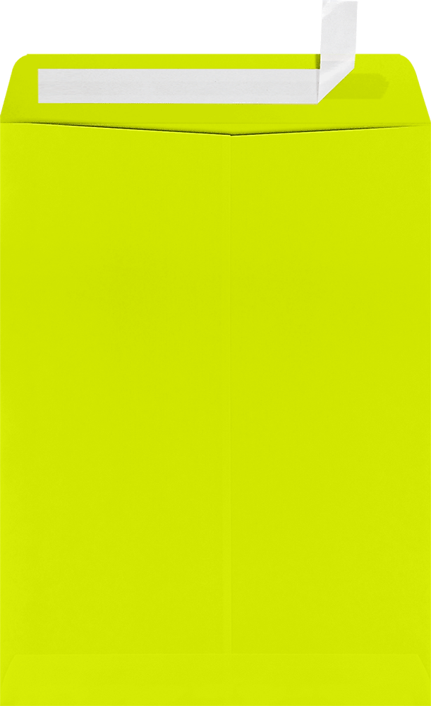 JAM Paper 9 x 12 Open End Envelopes, Wasabi , 50 Pack, Yellow (LUX-4894-L22-50)