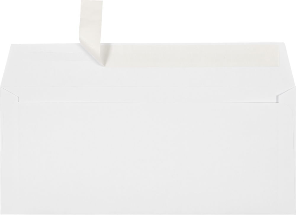 JAM Paper Self Seal #10 Business Envelopes, 4 1/8" x 9 1/2", White, 1000/Pack (75746-1M)