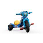 Fisher-Price Nickelodeon Paw Patrol Lights & Sounds Trike (DWR65)