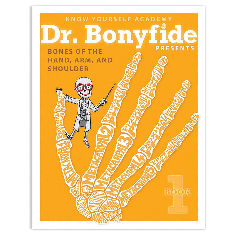 Know Yourself 206 Bones of the Human Body by Dr. Bonyfide, 4 Book Set  (KWYDRB4BB)