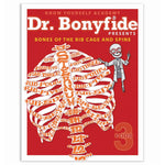 Know Yourself 206 Bones of the Human Body by Dr. Bonyfide, 4 Book Set  (KWYDRB4BB)