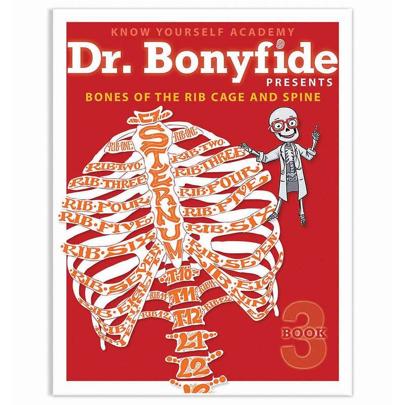 Know Yourself 206 Bones of the Human Body by Dr. Bonyfide, 4 Book Set  (KWYDRB4BB)