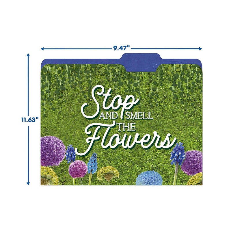 Eureka Curiosity Garden File Folders, 1-Tab, Assorted, Letter Size, 6/Bundle (EU-866450-6)