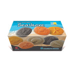 Yellow Door Let's Investigate Seashore, 8/Set (YUS1198)
