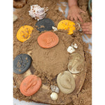 Yellow Door Let's Investigate Seashore, 8/Set (YUS1198)