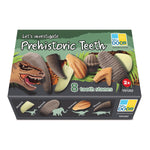 Yellow Door Let's Investigate Prehistoric Teeth, 8/Set (YUS1202)