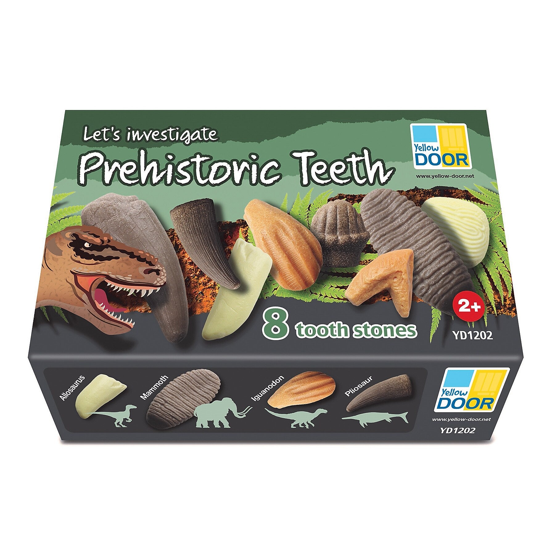 Yellow Door Let's Investigate Prehistoric Teeth, 8/Set (YUS1202)