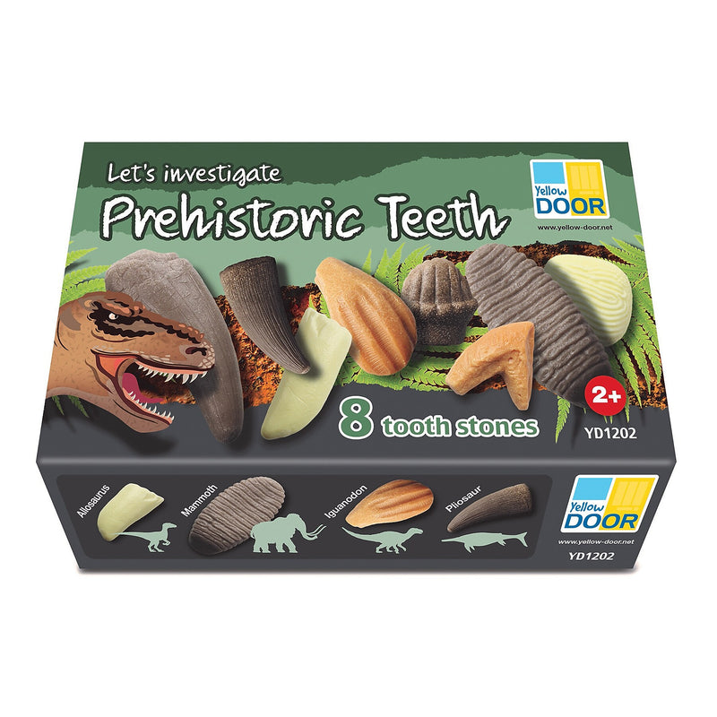 Yellow Door Let's Investigate Prehistoric Teeth, 8/Set (YUS1202)