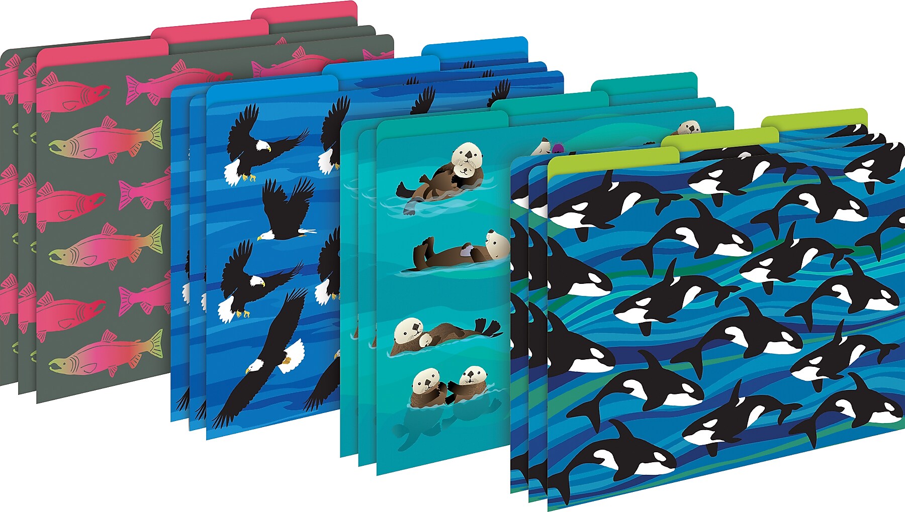 Barker Creek Sea & Sky Otters File Folders, Computer Paper, & Nametags, 1/3-Cut Tab, Letter Size, Assorted Colors, 107/Set (146)