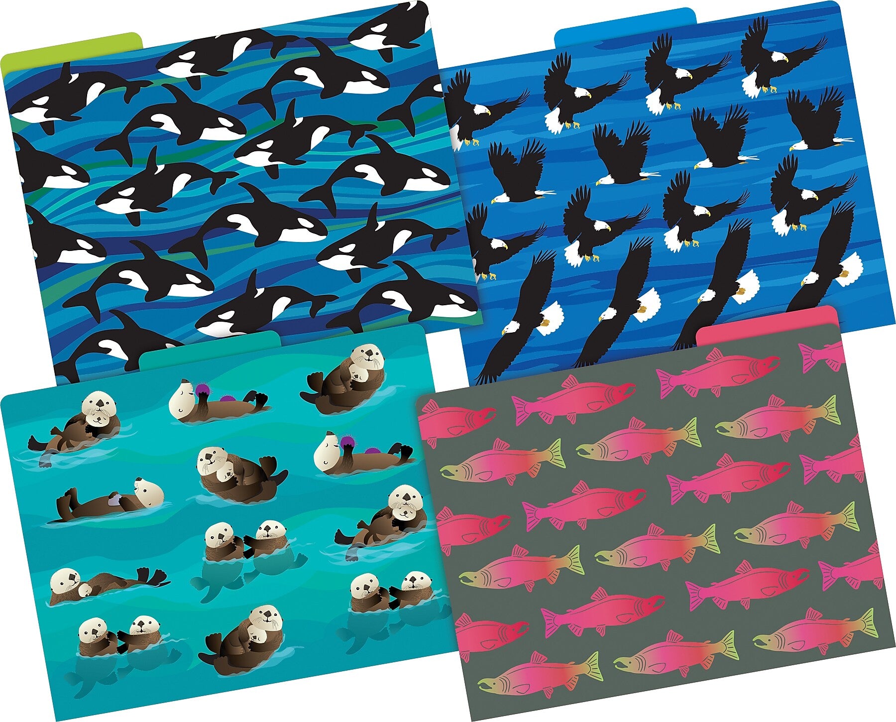Barker Creek Sea & Sky File Folder, 1/3-Cut Tab, Letter Size, Assorted Colors, 12/Pack (2015)
