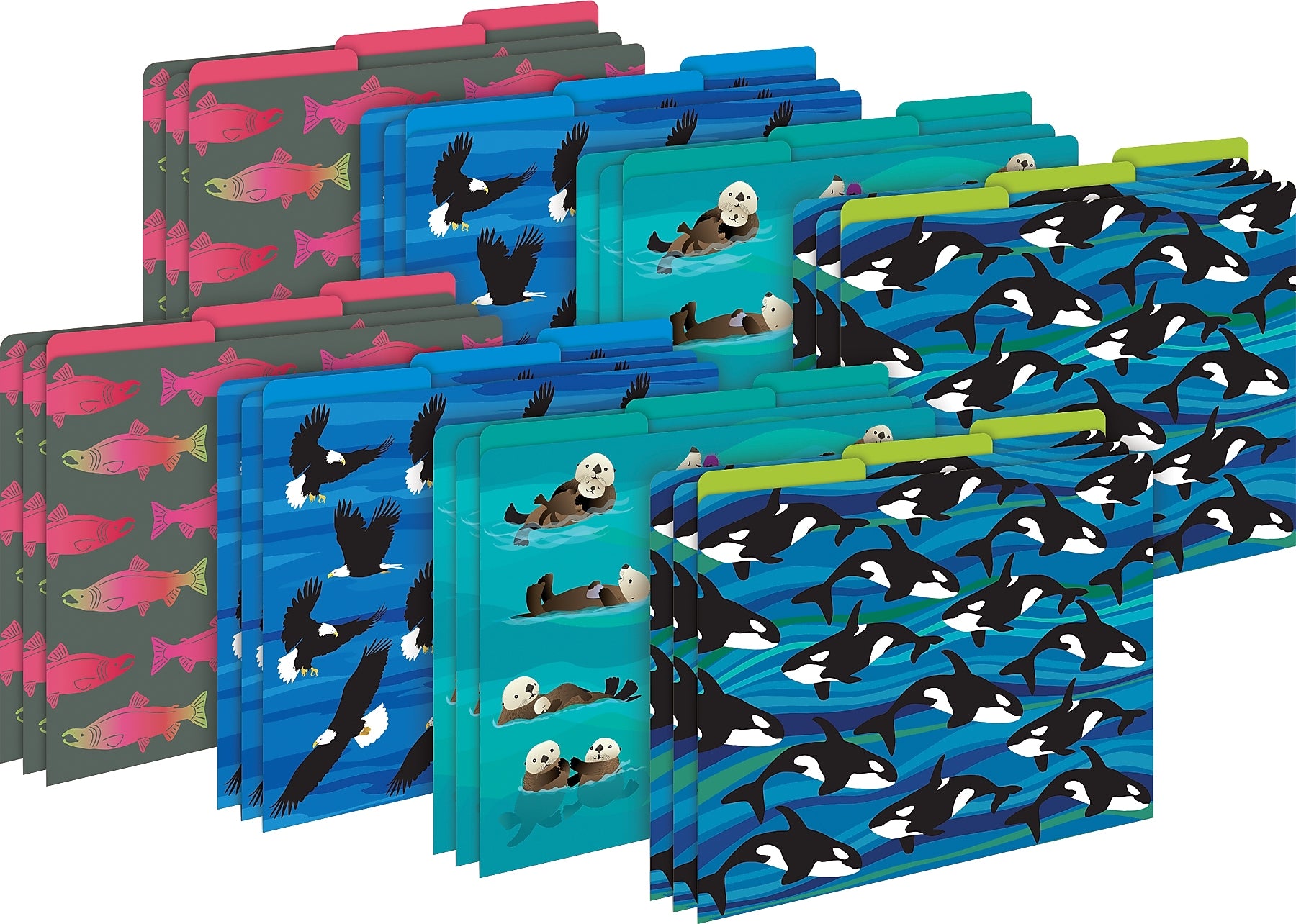 Barker Creek Sea & Sky File Folder, 1/3-Cut Tab, Letter Size, Assorted Colors, 24/Set (4404)