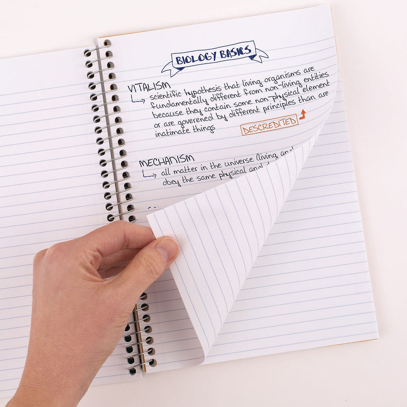 Five Star 5-Subject Subject Notebooks, 9.5" x 7.25", College Ruled, 150 Sheets (06184)
