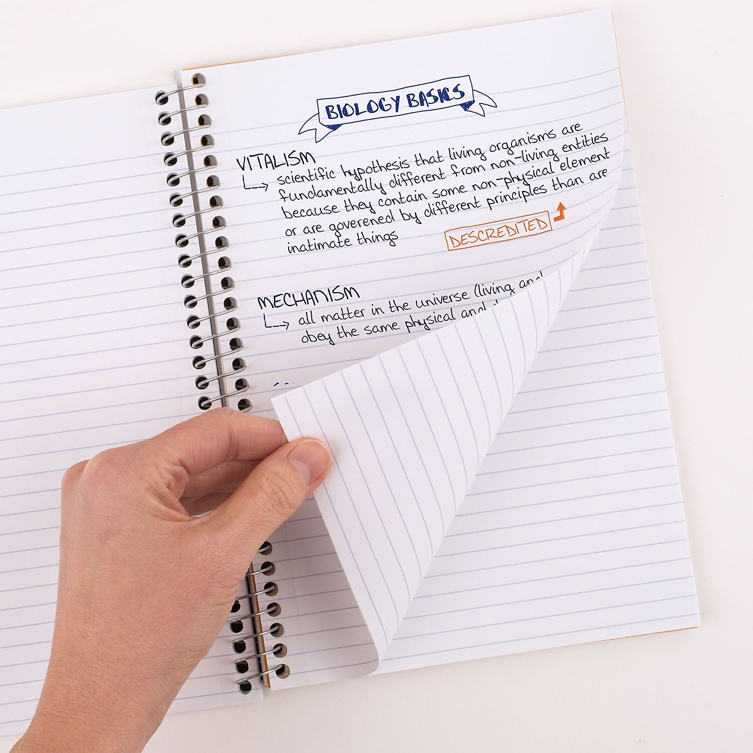 Five Star 5-Subject Subject Notebooks, 9.5" x 6.63", College Ruled, 150 Sheets, Assorted Colors, 6/Pack (73527)