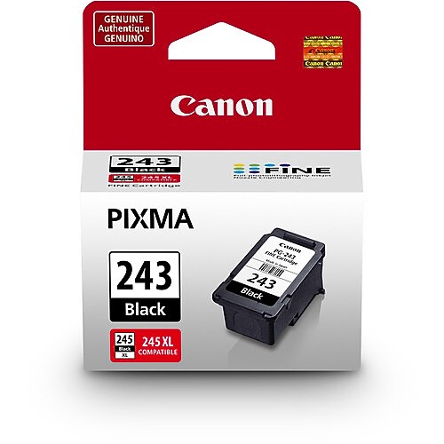 Canon 243 Black Standard Yield Ink Cartridge   (1287C001)