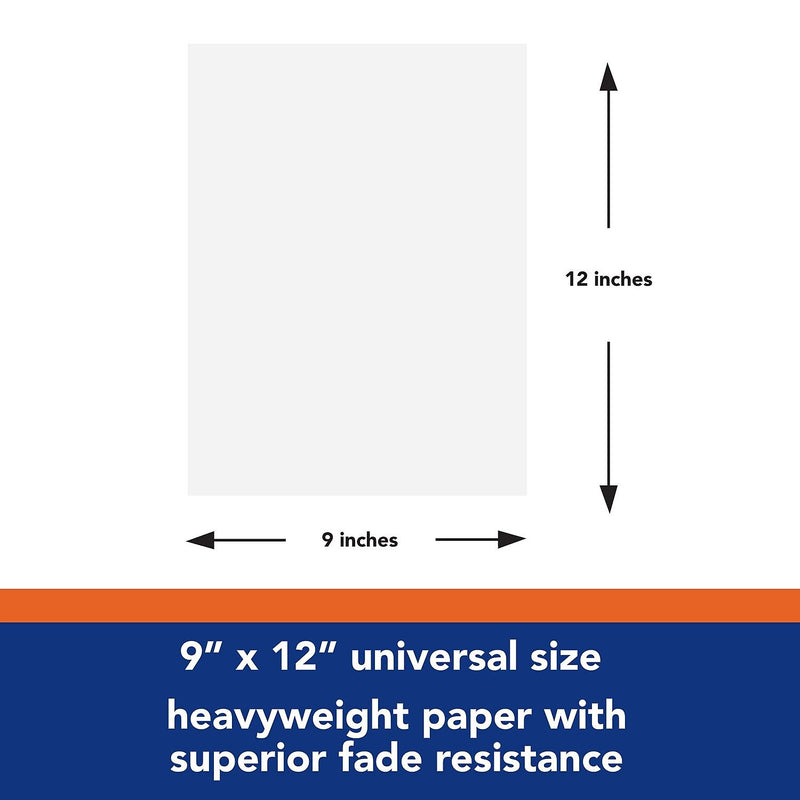 Pacon Tru-Ray 9" x 12" Construction Paper, White, 50 Sheets/Pack, 50 Packs/Carton (P103026)