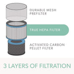 TruSens DuPont Allergy and Flu Anti-Viral True HEPA Air Purifier Filters, 5.4" x 7.3" (AFHZ2000-AGY01)