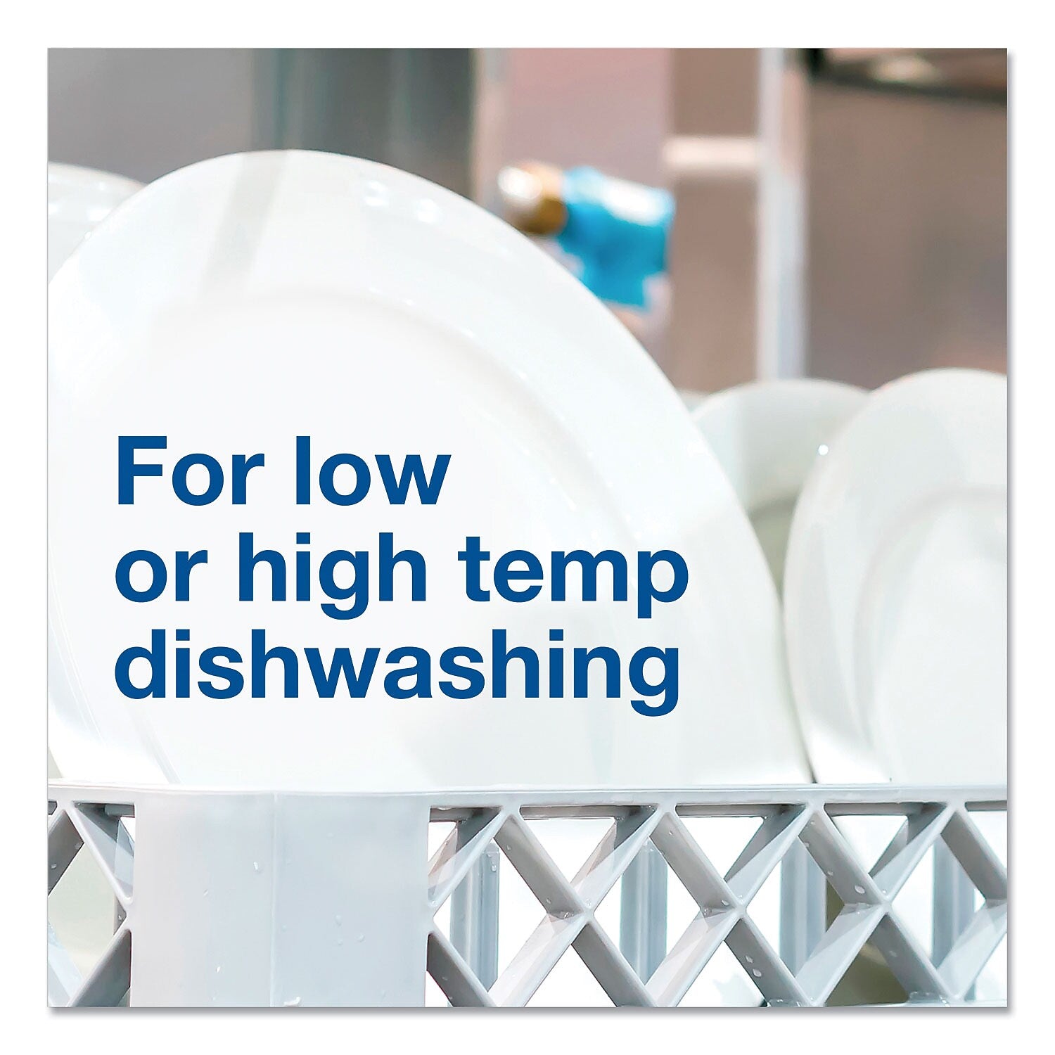 Luster Professional All-Temp Dishwasher Rinse Additive, Pleasant Scent, 5 Gallon (45892)