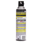 Raid Aerosol Spray Wasp and Hornet Killer, 14 oz. (377651EA)