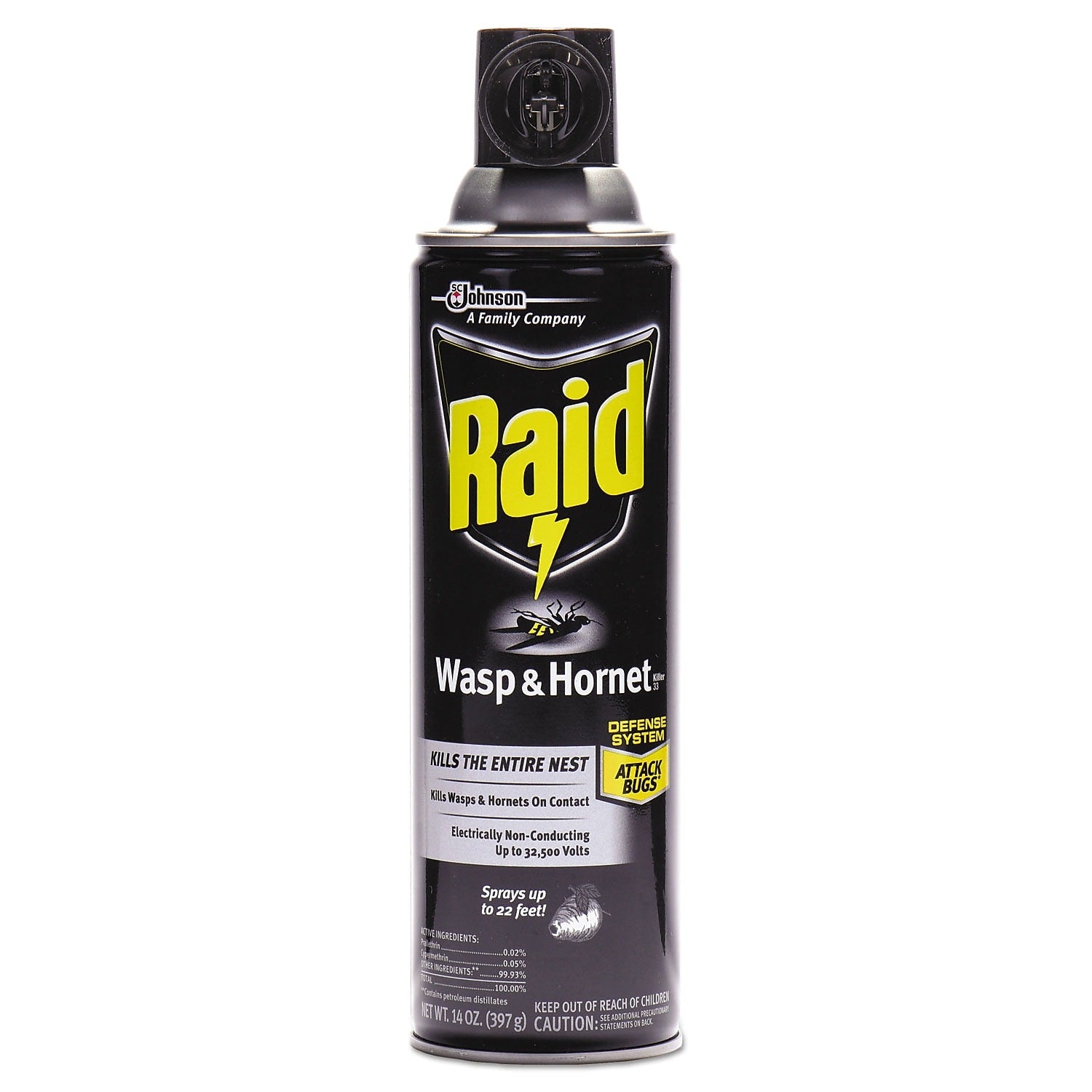 Raid Aerosol Spray Wasp and Hornet Killer, 14 oz., 12/Carton (377651)