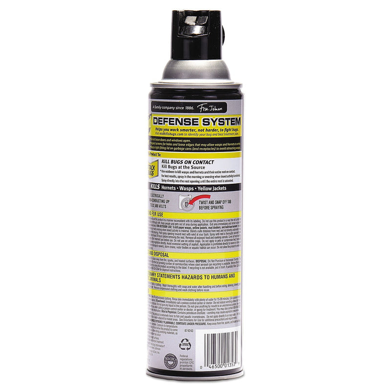 Raid Aerosol Spray Wasp and Hornet Killer, 14 oz., 12/Carton (377651)