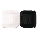 Karat Polypropylene Plastic Hinged Container, Black/Clear, 50/Pack, 6 Packs/Carton (FP-PHC66PP-1C)