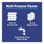 Pumie Tile and Concrete Cleaner, Gray, 12/Carton (UPMPB80Q)