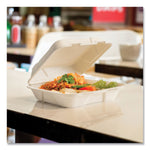 Vegware Nourish Molded Fiber Compostable Takeout Containers, 200/Carton (VW-HC101NFA)