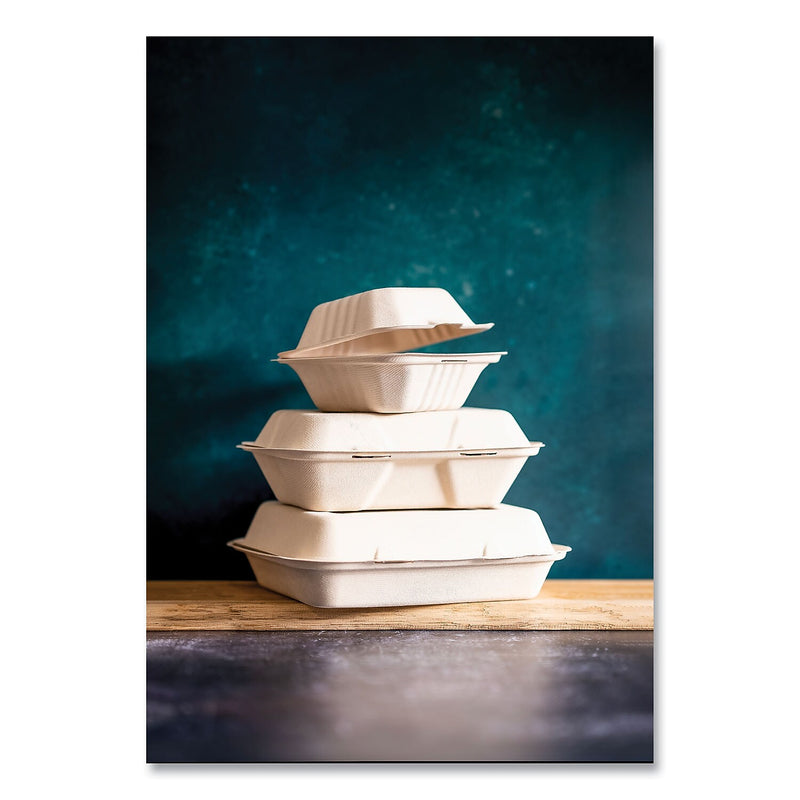 Vegware Nourish Molded Fiber Compostable Takeout Containers, 200/Carton (VW-HC81NFA)