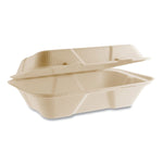 Vegware Nourish Molded Fiber Compostable Takeout Containers, 200/Carton (VW-HC96NFA)