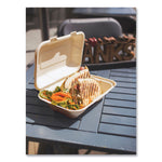 Vegware Nourish Molded Fiber Compostable Takeout Containers, 200/Carton (VW-HC96NFA)