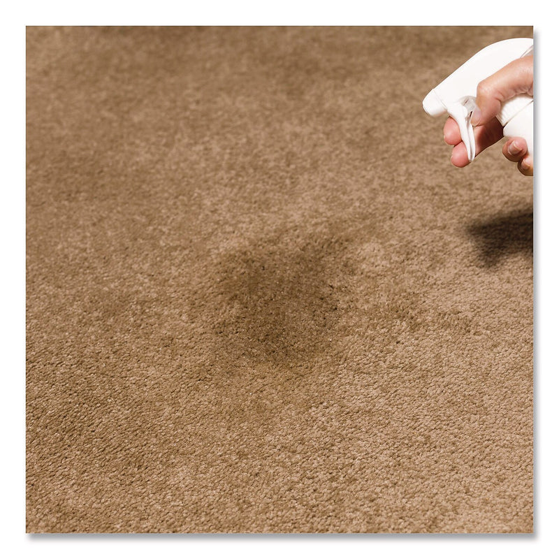 Rust-Oleum Carpet Stain Remover Plus Deodorizer, Lemon Scent, 32 oz., 6/Carton (352258)