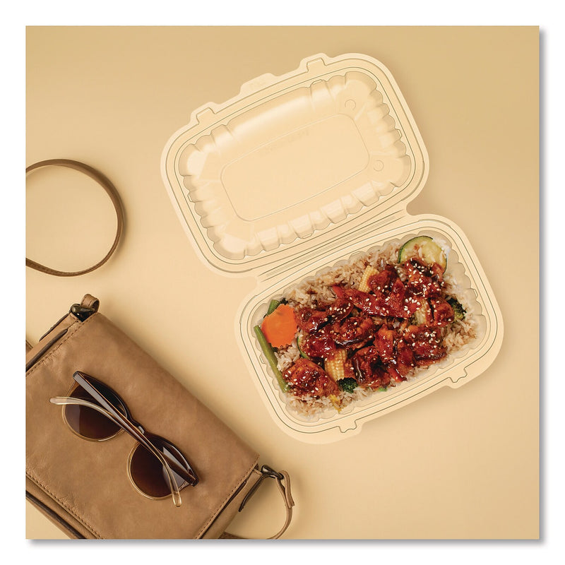 Dart ProPlanet Plastic Hinged Carryout Container, Clear, 300/Carton (69PPHT1)