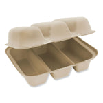 World Centric Plant-Based 3-Compartment Fiber Hinged Carryout Container, Natural, 300/Carton (TO-SC-T3-LFS)