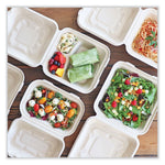 World Centric Plant-Based Fiber Hinged Carryout Container, Natural 300/Carton (TO-SC-U85-3-LFP)
