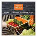 World Centric Plant-Based Fiber Carryout Tray, Natural, 500/Carton (TR-SC-17S-LFS)