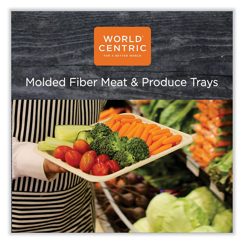 World Centric Plant-Based Fiber Carryout Tray, Natural, 500/Carton (TR-SC-17S-LFS)