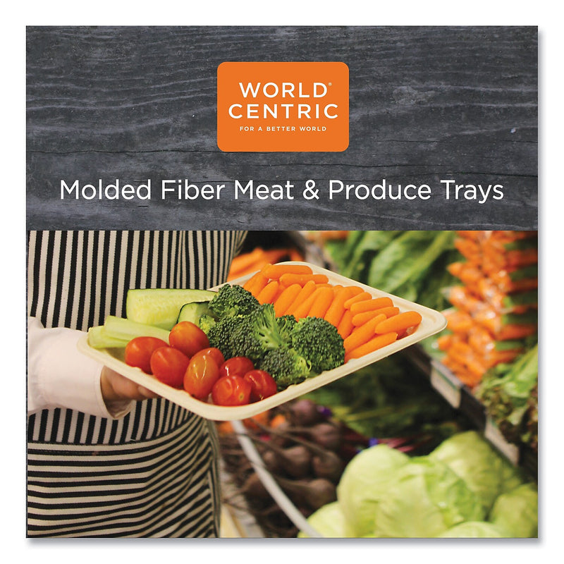 World Centric Plant-Based Fiber Carryout Tray, Natural, 500/Carton (TR-SC-2S-LFS)