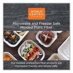World Centric Plant-Based Fiber Carryout Tray, Natural, 500/Carton (TR-SC-4S-LFS)
