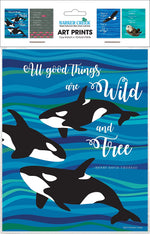 Barker Creek What if You Fly Art Print Set 8" x 10", Multi-Design, 4/set (BC3107)