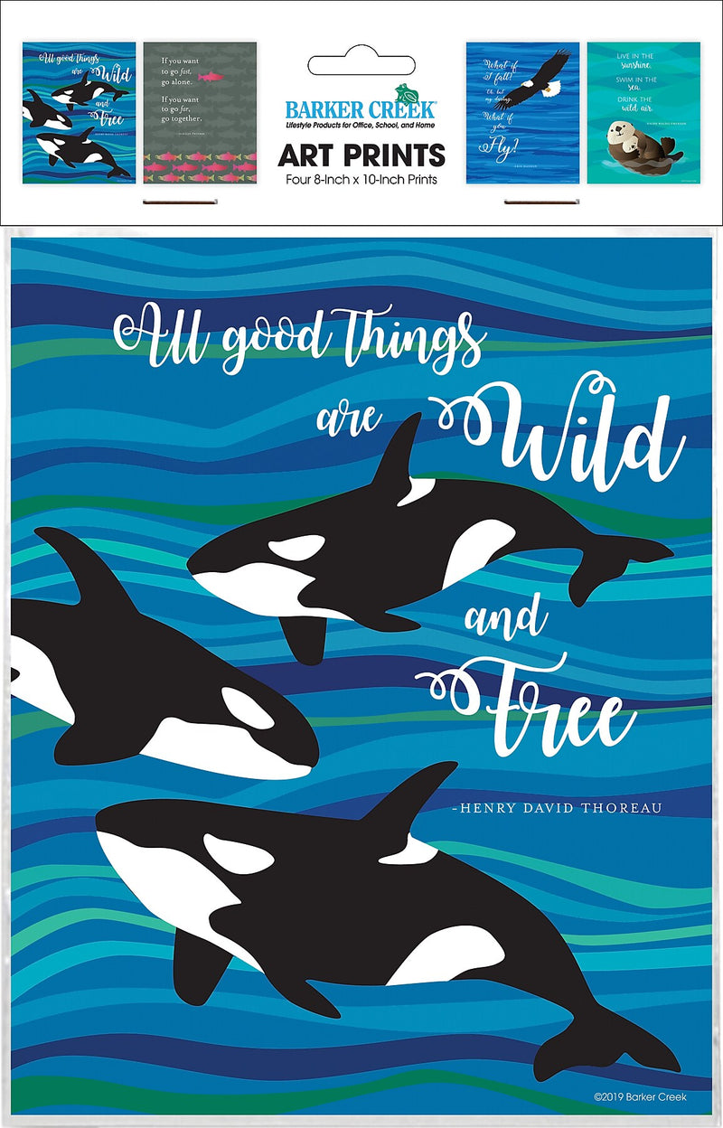 Barker Creek What if You Fly Art Print Set 8" x 10", Multi-Design, 4/set (BC3107)