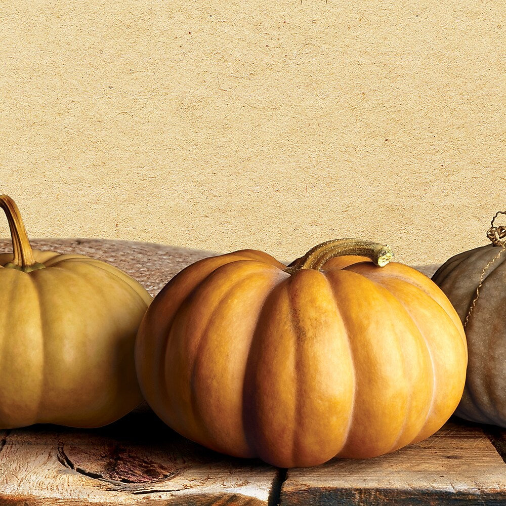 Great Papers!® Fall Pumpkins Letterhead, 8.5" x 11", 80 sheets (2018012)