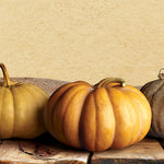 Great Papers!® Fall Pumpkins Letterhead, 8.5" x 11", 80 sheets (2018012)